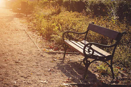 Bench in the autumn park with beautiful sunlightの写真素材