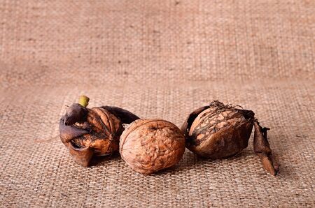 Walnuts closeup on the sackcloth backgroundの写真素材