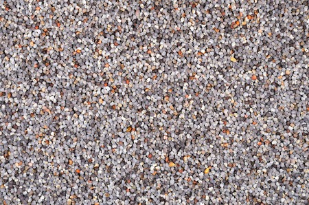 Poppy seeds background, detailの写真素材