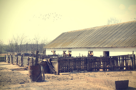 Vintage photo of a farm, detailの写真素材