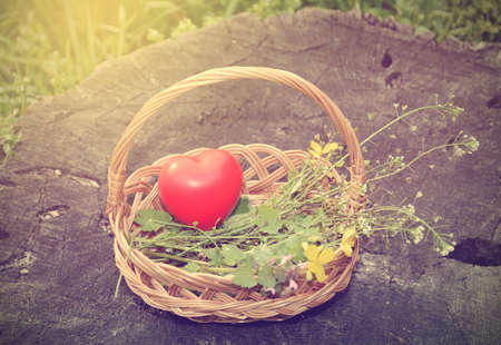 Vintage photo of spring basket with heart shape, detailの写真素材