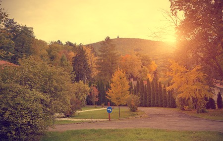 Autumn scene in the park a sunny dayの写真素材