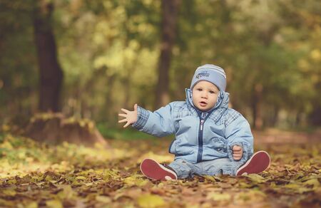 Happy baby boy in the autumn forest a sunny dayの写真素材