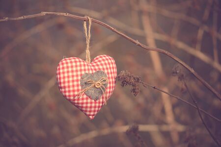 Closeup photo of a checkered hearth shape in the natureの写真素材