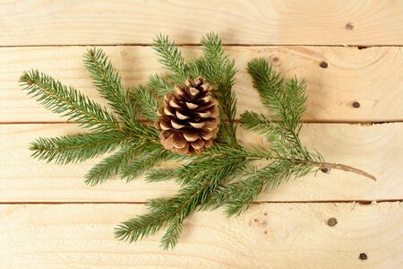 Pine cone on fir branch a wooden background