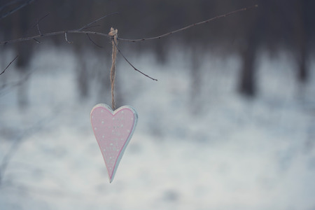 Heart shape hanging a branch in winter forest