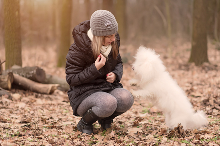 Woman training her dog in the parkの写真素材