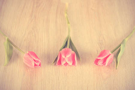 Closeup photo of red tulips on wooden backgroundの写真素材