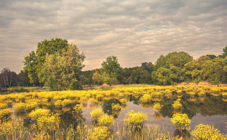 Beautiful nature landscape a cloudy day, detail