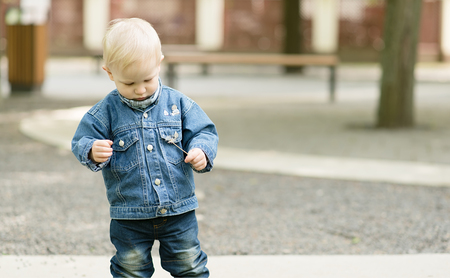 Little boy play with dandelion seeds in the parkの写真素材