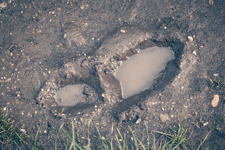 Footprint in the mug, detail