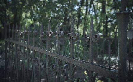 Ornate cast iron fence in the cemeteryの写真素材