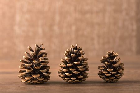 Three pine cones on the wooden background
