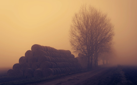 Straw bales near the dirt road a foggy day in the natureの写真素材