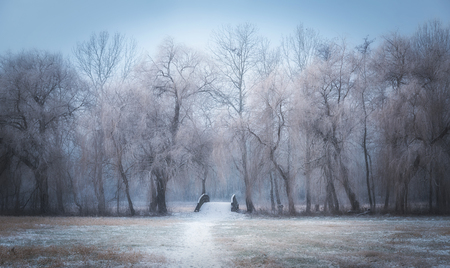 Wooden bridge covered with snow in the park a winter's dayの写真素材