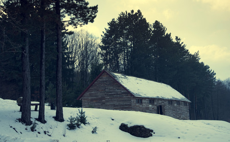 Old, wooden barrack in the forest a winters dayの写真素材