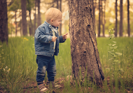 Happy kid playing with tree in the parkの写真素材