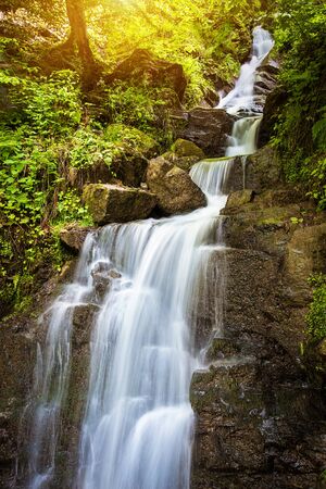 Landscape photo of forest stream waterfall in the green