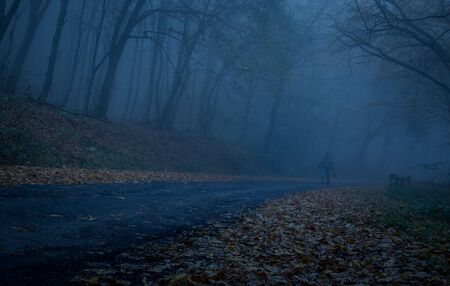 Path through a dark forest at night. Blue toned photoの写真素材