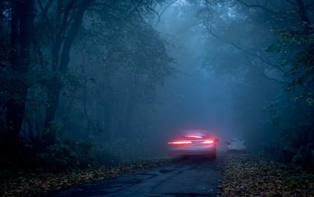 Road through a dark forest at night. Blue toned photoの写真素材