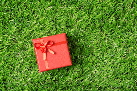 Red gift box on the green grass. Top of viewの写真素材