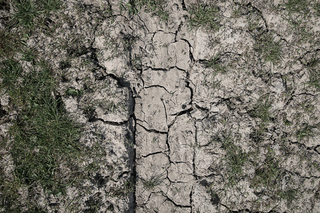 Dried and cracked ground. No rain, lack of moisture.