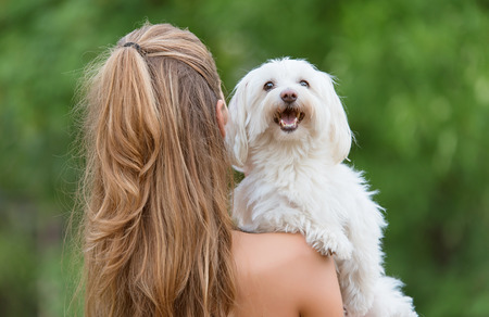 Bichon bolognese dog with beautiful owner in the park