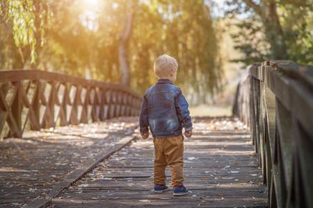 Adorable little boy on the wooden bridge in the natureの写真素材