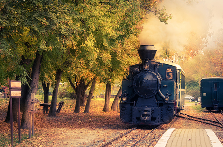 Steam powered train in the natural parkの写真素材