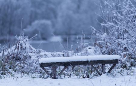 Wooden bench a winters day in the snowy nature. Blue toned photoの写真素材
