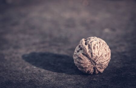 Walnut on a rusty background. Dark toned photoの写真素材