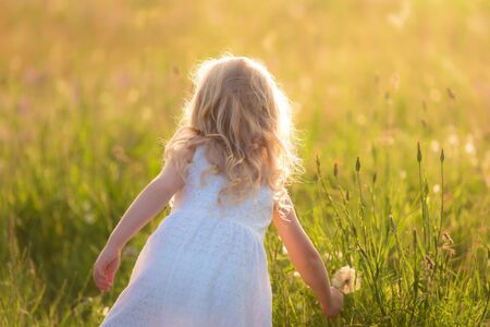 Beautiful blond little girl play in the fieldの写真素材