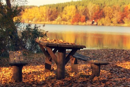 Picnic place in the forest near the lakeの写真素材
