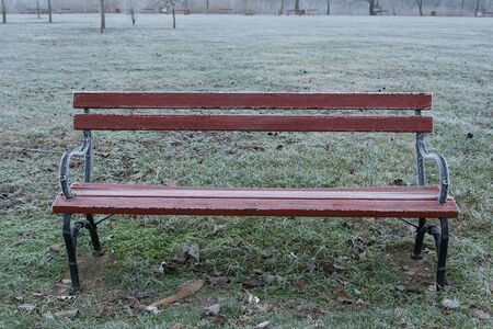 Frosted bench in the winter parkの写真素材