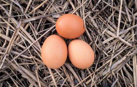 Three chicken eggs lying on the hay. top viewの写真素材