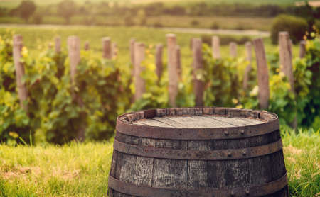 Photo of a barrel detail on a vineyard fieldの写真素材