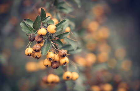 Hand made heart shape, love symbol on gravel backgroundの写真素材