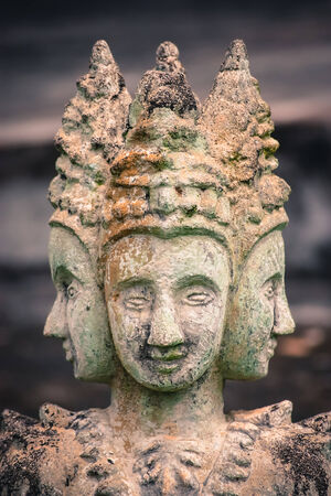 Brahmaの写真素材