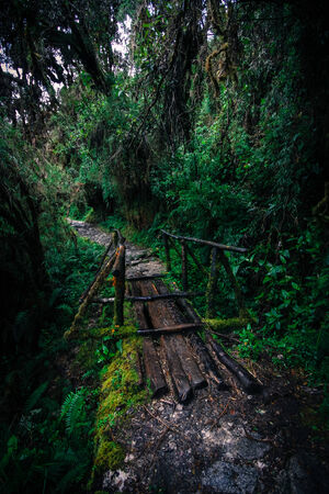 Inca Trailの写真素材