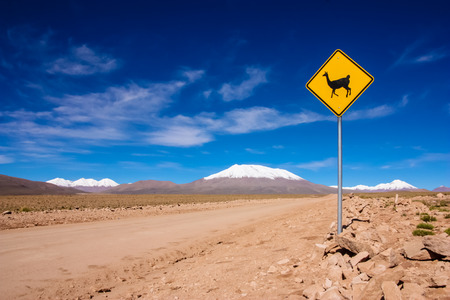 Llama road sign in Bolivia, Andes, South Americaの写真素材