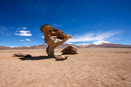 Arbol de Piedra or Stone Tree?, Boliviaの写真素材