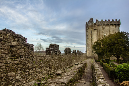 Blarney Castle Wall, Cork, Irelandのeditorial素材
