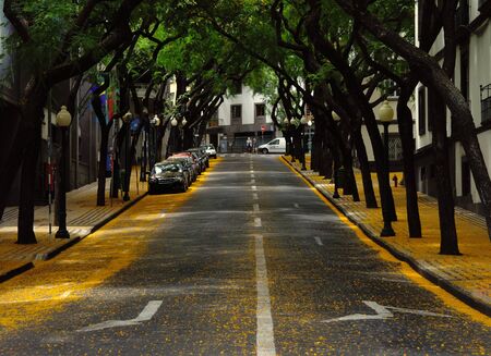 Street of Funchal, capital of Madeira islandの写真素材