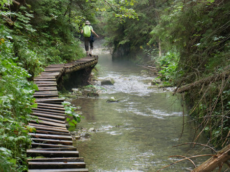 In the middle of beautiful Slovak natureの写真素材