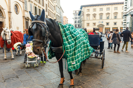 Florence, Italy - December 10, 2016: Colorful carriage in front of Florence Duomo.のeditorial素材