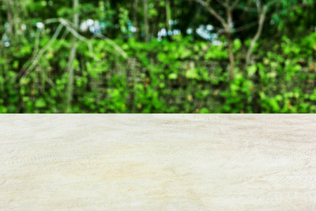 Stone table with blur tree in background.の写真素材