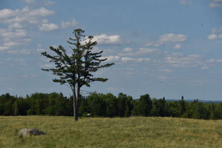 Countryside landscape with farm in Quebec, Canadaの写真素材