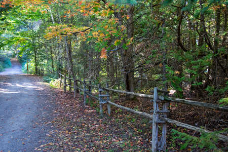 Forest road with Fall colors in Canadian nature, Quebec