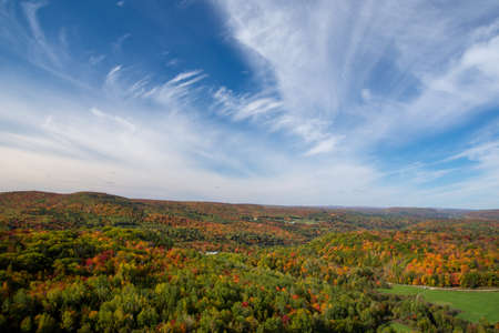 Fall colors in the Canadian forest in the province of Quebec