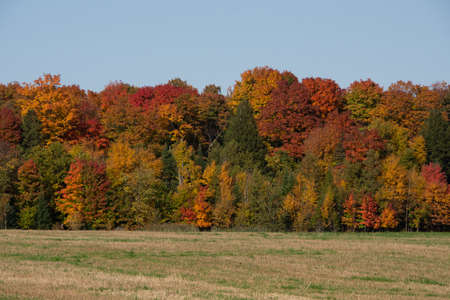 Fall colors in the Canadian countryside in the province of Quebecの写真素材